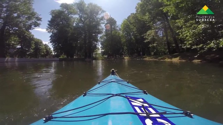 Wypoczynek w centrum miasta